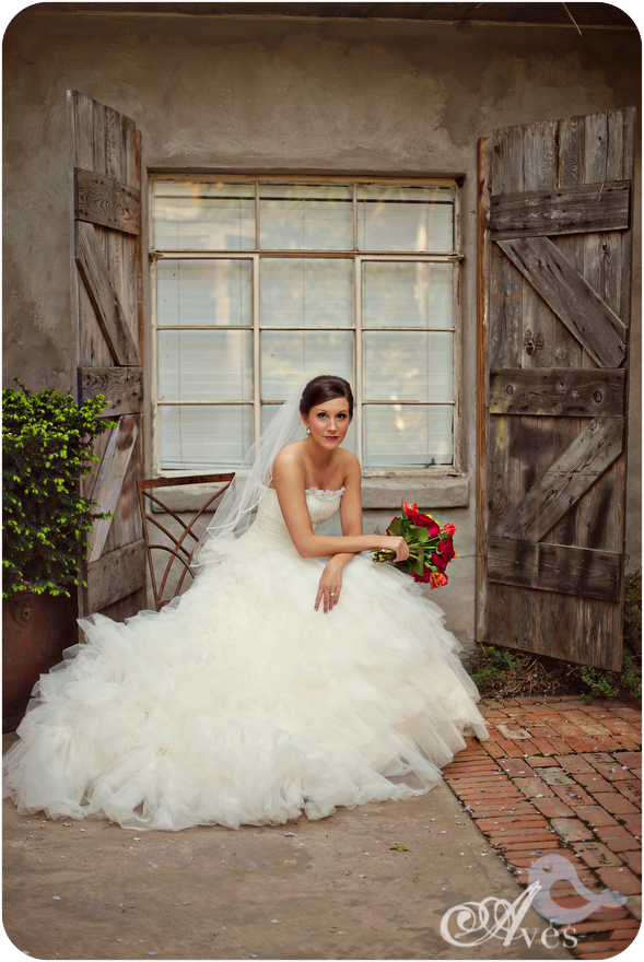 Aves Photographic Design Bridal Portraits McKinney Cotton Mill 5826 Sweet, Sweet Holly. On a cloud of bridal fluff.