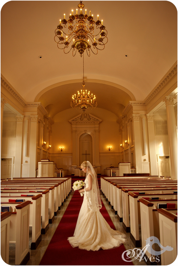 Fort Worth Botanical Gardens Bridal Portraits Robert Carr Chapel Soft Romantic Bridals Lace Dress Fitted Deep V Button Back Fingertip Veil Delicate Gorgeous 5744 True Joy.