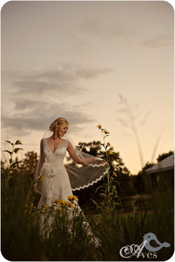 Fort Worth Botanical Gardens Bridal Portraits Robert Carr Chapel Soft Romantic Bridals Lace Dress Fitted Deep V Button Back Fingertip Veil Delicate Gorgeous 5758 True Joy.