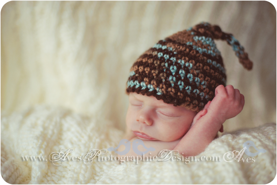 Dallas Fort Worth Baby Photography Newborn Pictures Black and White Baby Photos Baby Photo Ideas Aves Photography Organic Baby Photography Newborn with Dogs in Studio-5932