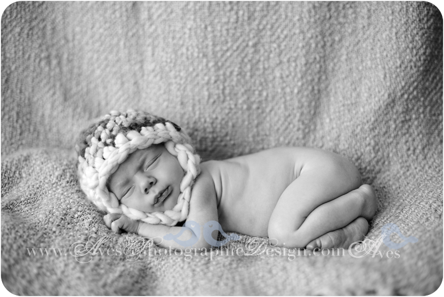 Dallas Fort Worth Baby Photography Newborn Pictures Black and White Baby Photos Baby Photo Ideas Aves Photography Organic Baby Photography Newborn with Dogs in Studio-5933